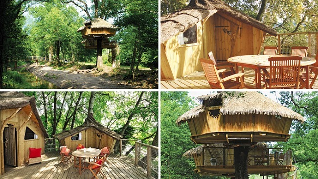 Glamping boomhut