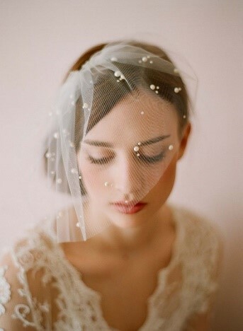 birdcage veil crystal lace